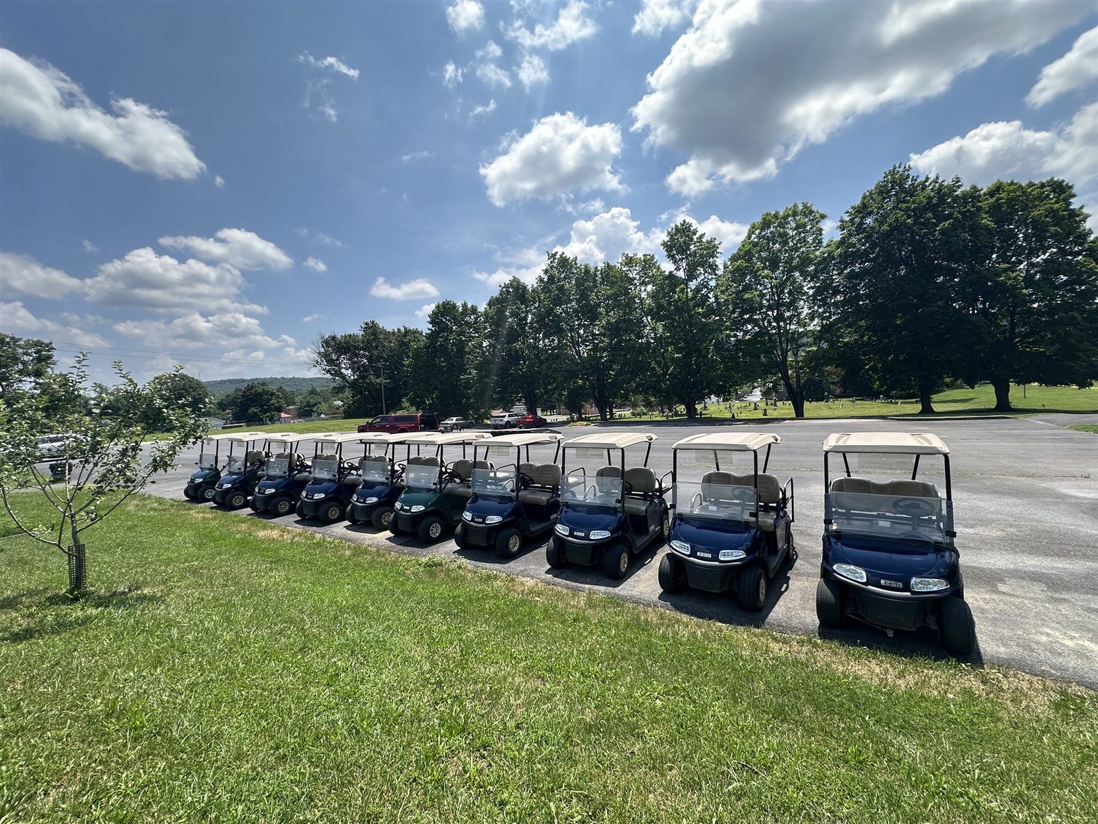 A full fleet of Carts by Dean rental golf carts lined up and ready for delivery